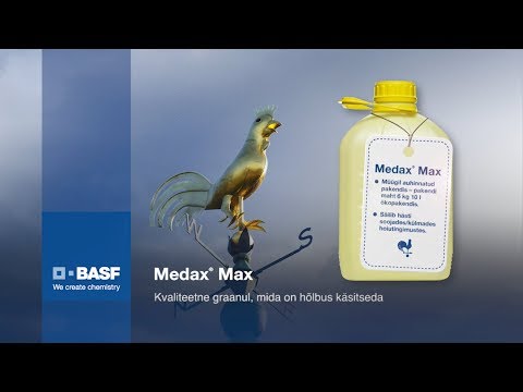 Video: Taimetoitlus. Teravilja Kasulikkusest