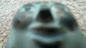 Thomas once saw Terence the tractor…