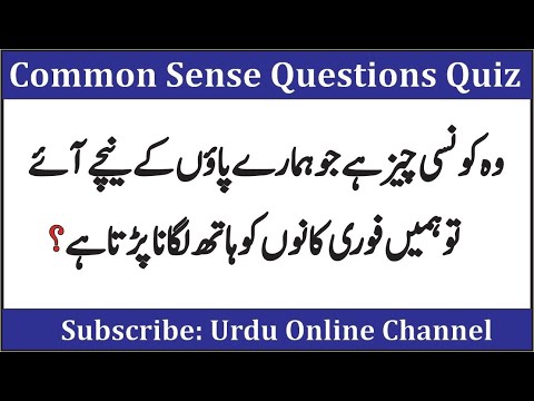 top-most-interesting-common-sense-questions-|-gk-in-urdu-|-paheli-in-hindi-|-general-knowledge-quiz