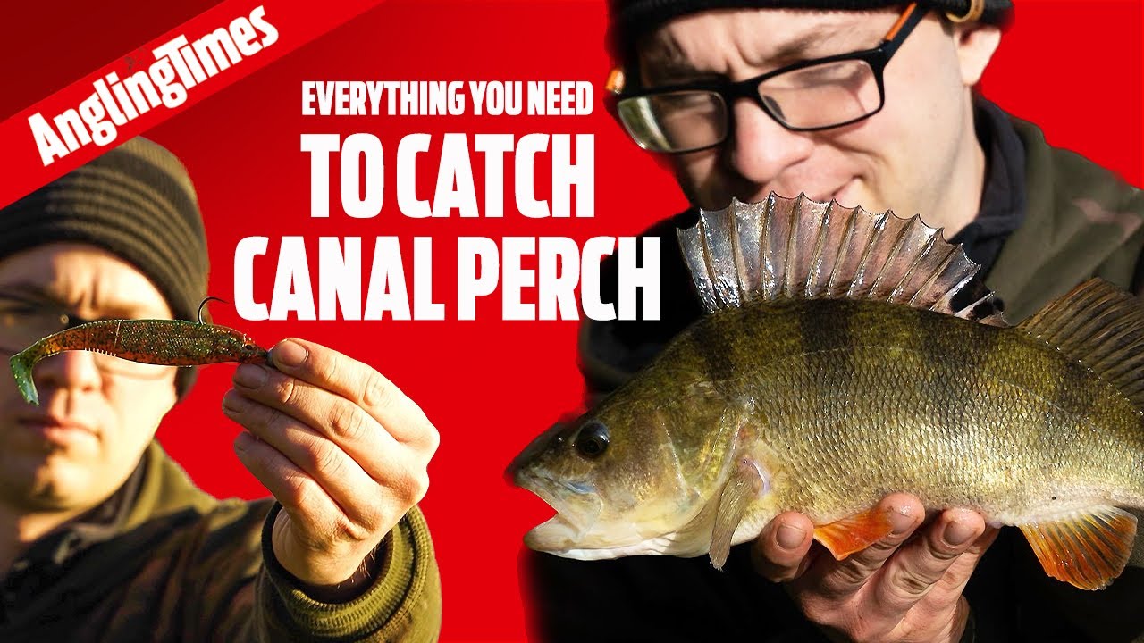 The dream lure fishing kit for perch! #lurefishinguk 