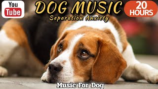 20 HOURS of Dog Calming Sleep Music🐶💖Anti Separation Anxiety Relief🦮🎵 Dog Music Relax⭐Healingmate