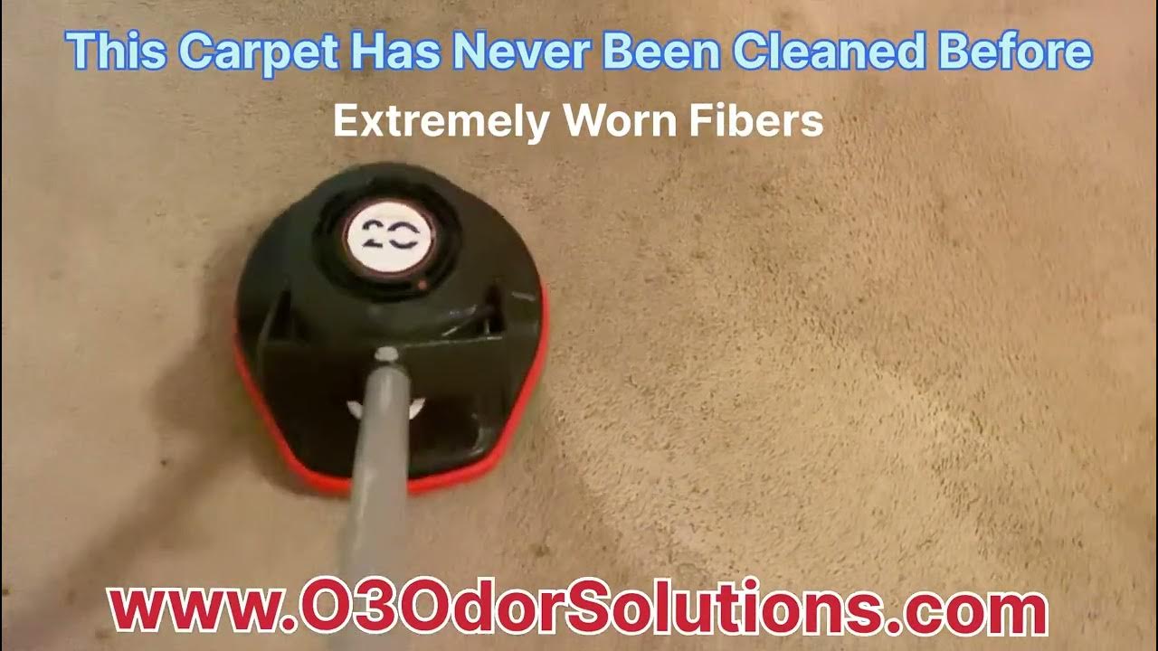 Carpet Cleaning and Restoration ( Mandeville, La ) YouTube