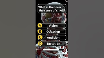 Quiz game general knowledge | Trivia game questions | English Quiz Game