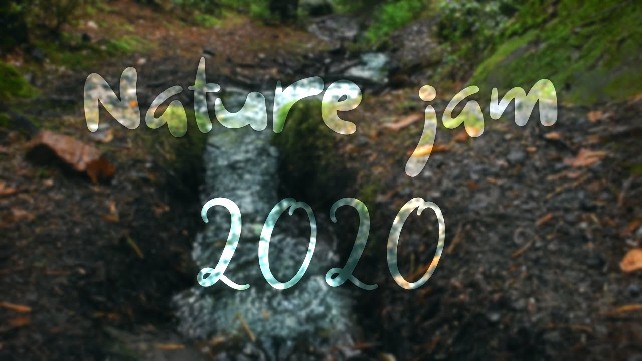 Nature jam 2020