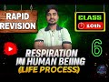 Respiration in Human Beings | Life Process | Class 10 | Biology | Part 6 | By Ankit Sir | #biology