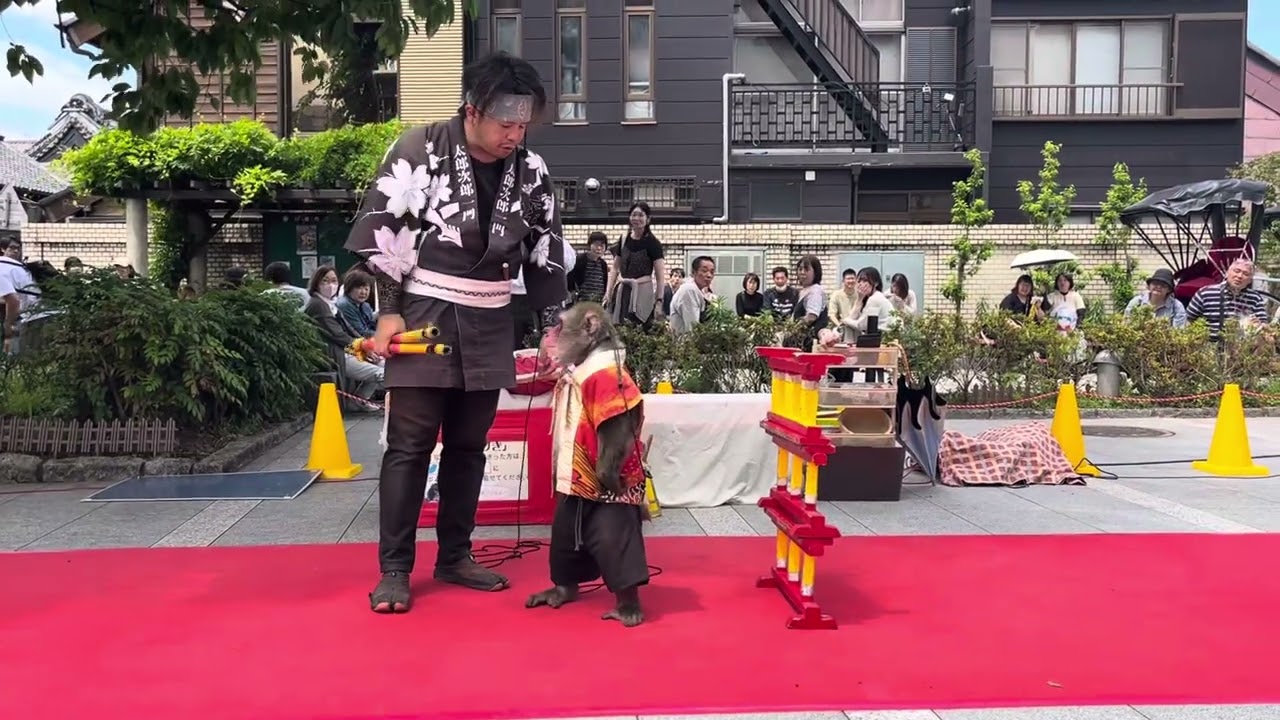 20250601りきくん