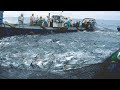 Everyone Should Watch This Fishermen