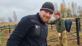 Showing beautiful! Construction of the Owl house in the share. Why is Artem happy?