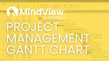 MindView 9 - Project Management with a Gantt Chart