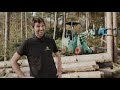 Knikmops at work - Forestry