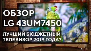 Лучший бюджетный 4k телевизор 2019 года? Обзор LG 43UM7450