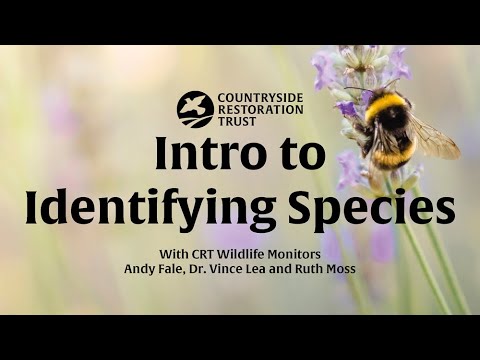CRT - Intro into Identifying Specie