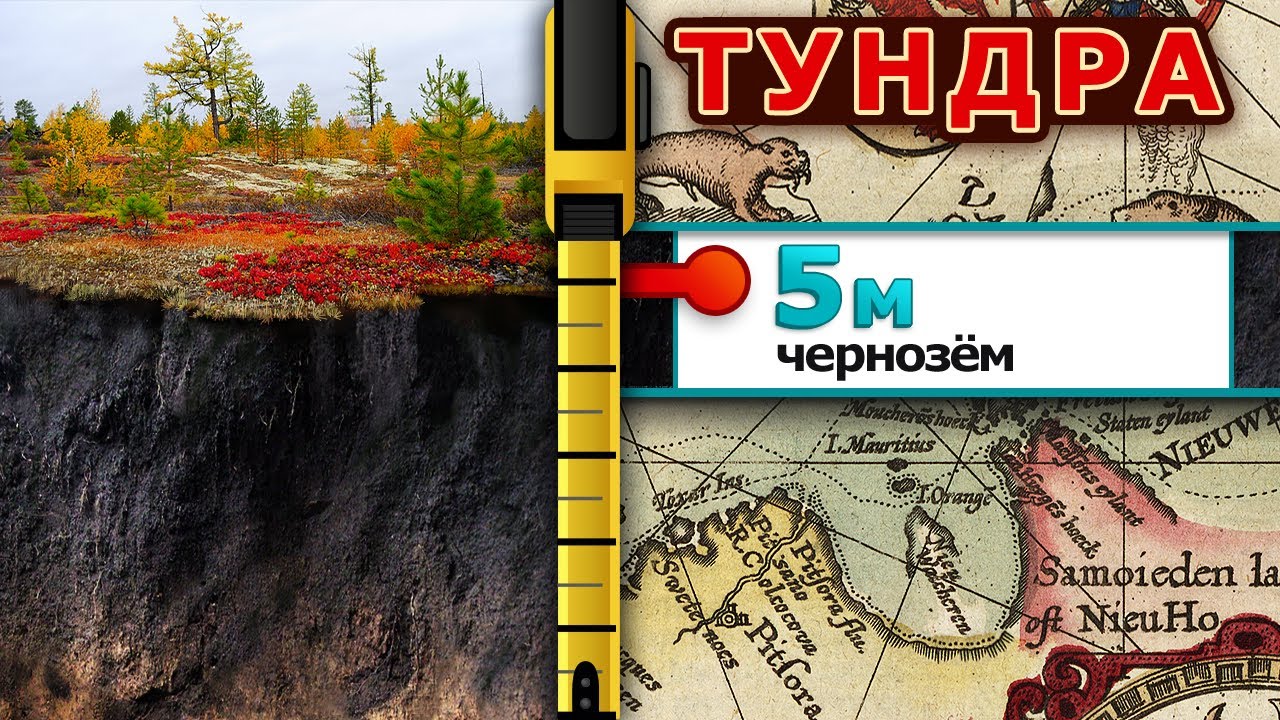 Следы Потопа в Тундре. Древний город за полярным кругом.