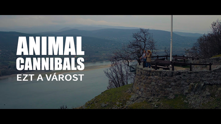 Animal Cannibals - Ezt a várost