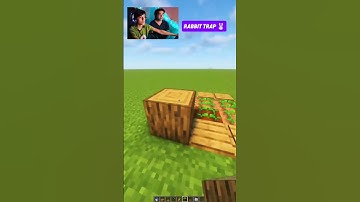 Minecraft Rabbit Trap at Different Times $811 #minecraft #shorts