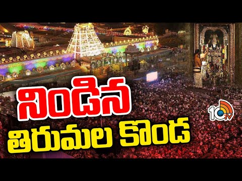 Huge Devotees Rush At Tirumala Temple | నిండిన తిరుమల కొండ | 10TV News - 10TVNEWSTELUGU