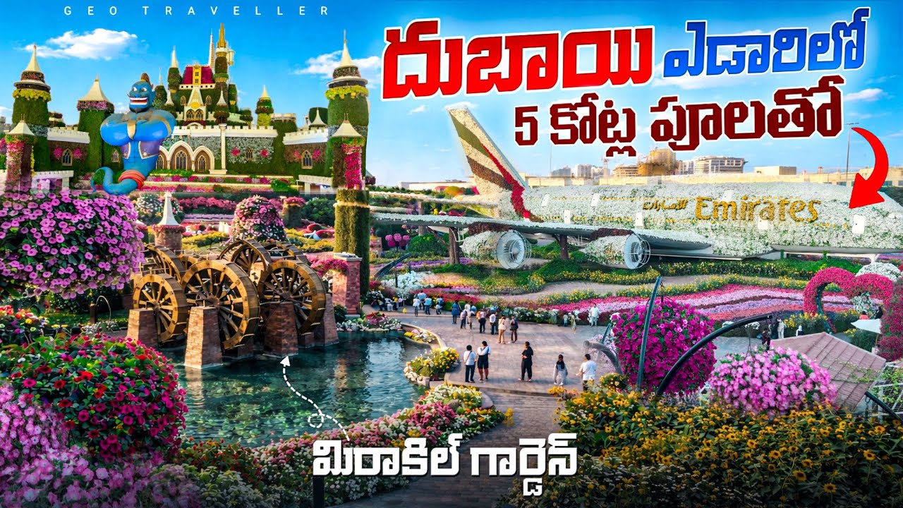 Dubai Desert Miracle 🌸🦋 | Miracle Garden, Butterfly Garden & Mall of the Emirates 