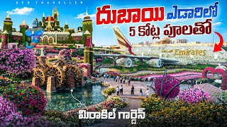 Dubai Desert Miracle Miracle Garden, Erfly Garden & Mall Of The Emirates