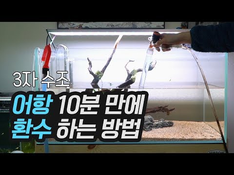 어항 10분 만에 환수하는 방법