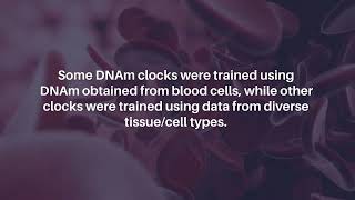 DNA Methylation Clock Algorithms Across Diverse Tissue Types | Aging-US Guide