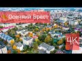 Красивый осенний полет над центром  города  Бреста . Полет одним кадром. Осень 2021 г. #ВАСЬКАПИЛОТ