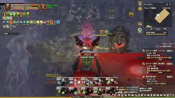 Tree of Savior AA Chaplain(Delmore Solo)