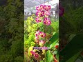 https://www.facebook.com/tan.quach.125https://youtube.com/@tvh4398https://vt.tiktok.com/ZSHBKB3Nc/