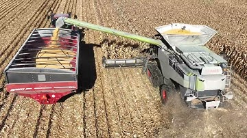 CANADIAN FARMER - BIG GUNS - The GERINGHOFF IS BACK!  with the BIG CLAAS combine in the corn field