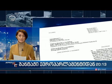 ბიძინა ივანიშვილის წინააღმდეგ \"ნაციონალური მოძრაობის\" მოკავშირები აქტიურად იბრძვიან ევროპარლამენტში