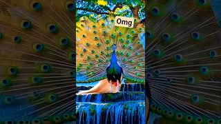 Shorts Shorts Shorts