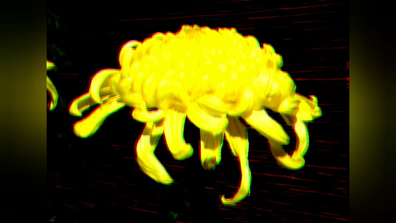 How to pronounce Chrysanthemum 🥳🙂😁🙂😁💖🙂🙂💖💖 YouTube