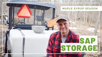 Maple Syrup Season: Sap Collection Setup