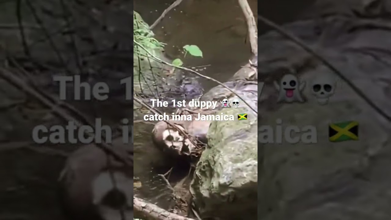 The 1st Duppy catch 👻 inna Jamaica 🇯🇲 