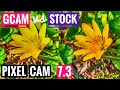 Pixel Camera 7.3 Google Camera 7.3 vs Stock Camera Android MIUI 11 Xiaomi Mi8
