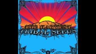 Watch Tribal Seeds All I Know video