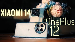 Xiaomi 14 VS OnePlus 12 Camera Comparison | Photography