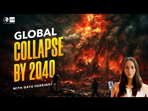 MIT Report predicts