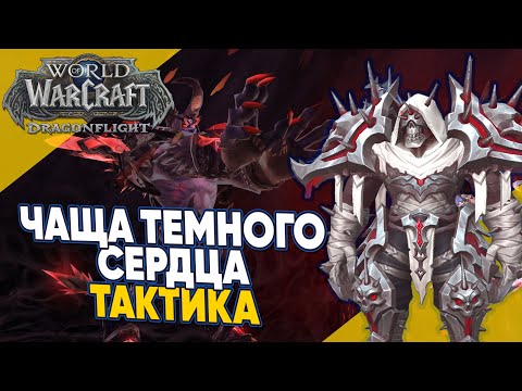 ЧАЩА ТЕМНОГО СЕРДЦА ТАКТИКА мифик плюс 3 сезон World of Warcraft Dragonflight патч 10.2