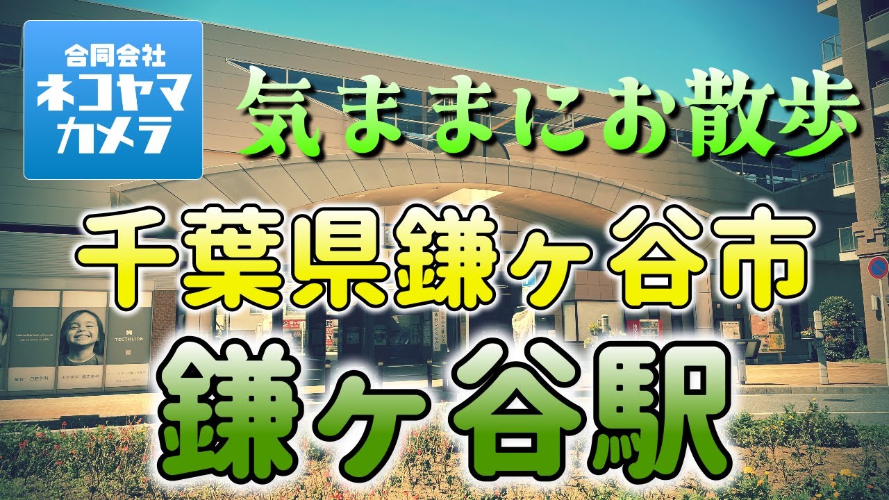 【千葉散歩#30】東武アーバンパークライン「鎌ヶ谷駅」周辺を歩いたよ！船取県道沿い、名物ラーメン、猫山オススメの神社など　千葉県鎌ヶ谷市　#千葉県 #鎌ヶ谷市 #鎌ヶ谷駅