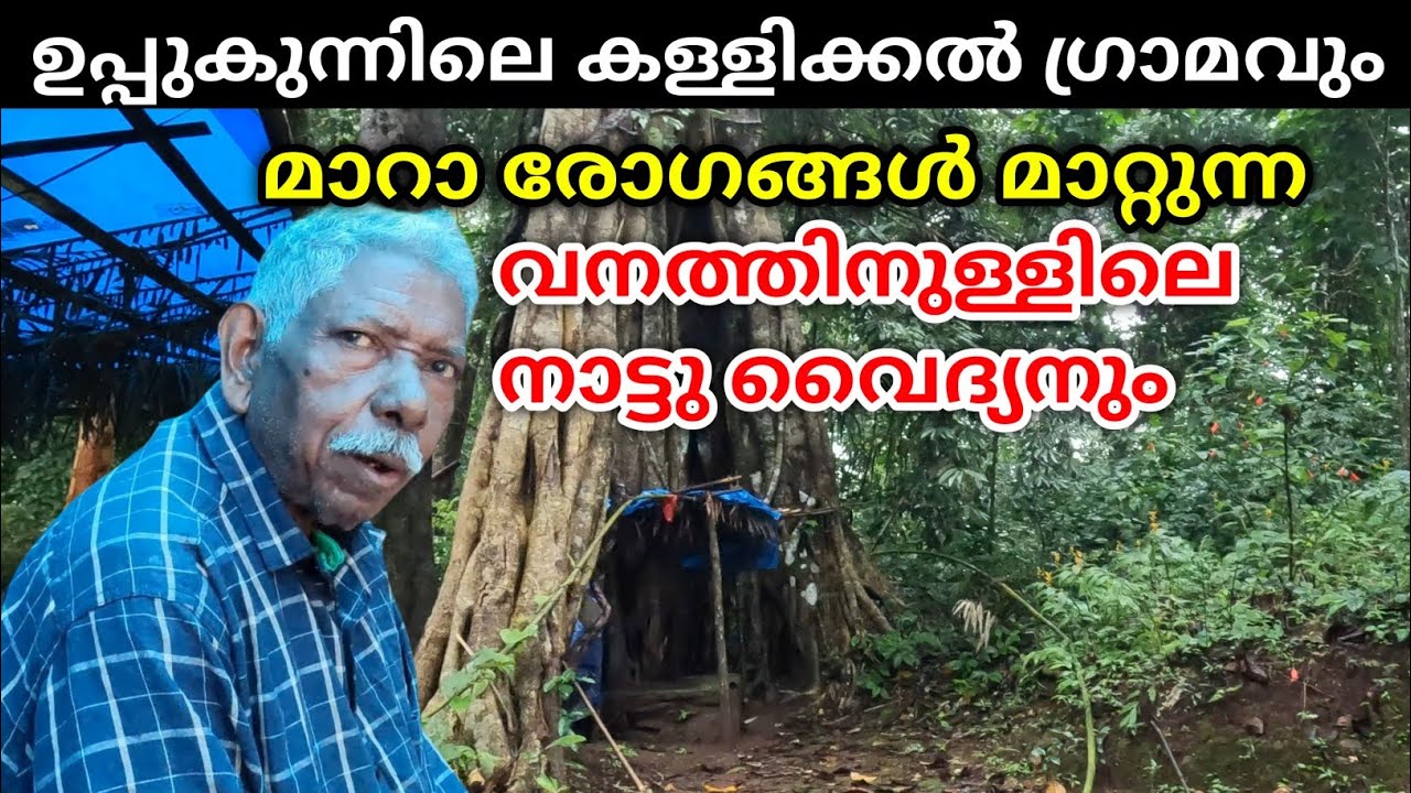 Врач, спасший брошенного врачами пациента | Шанкаран Вайдхян | Калликкал, Уппукунну