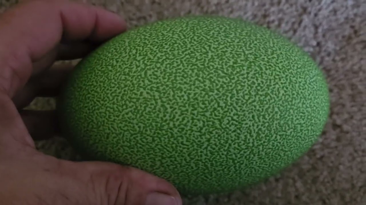 2 Eggs side by side!