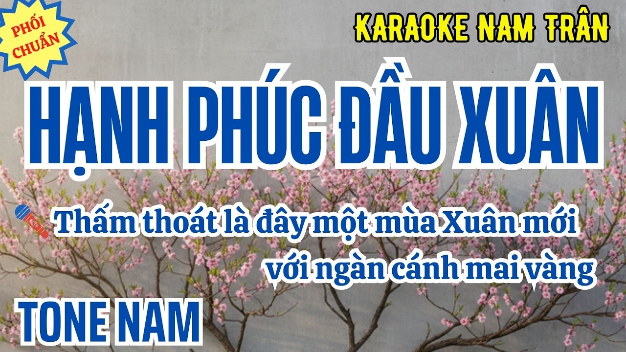 Karaoke Hạnh Phúc Đầu Xuân Tone Nam | Nam Trân