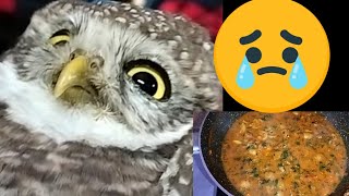 পেঁচা টা আমাদের বাড়িতে কি করে এল 🦉🦉।। আর তার কি হয়েছিল।।।🦉🦉🦉