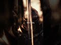 Chubina - East Duo #aesthetic #shortvideo #instrumental
