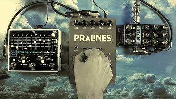 Glou-Glou "Pralines" + Chase Bliss Audio "Thermae" + EHX "8 Step Program"