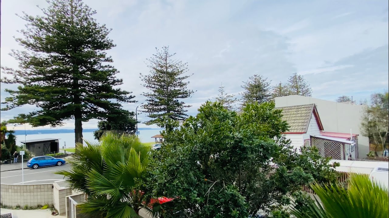 Navigate Apartments Napier VacationReview YouTube