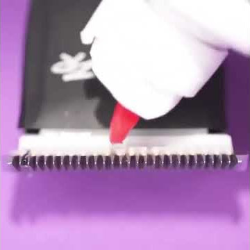 Andis – How to Oil Your Pet Clipper Blade