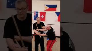 Control Of Both Arms With A Stick, Gm Dieter Knüttel