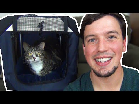 the-best-cat-carrier-on-amazon!--😻--petluv-cat-carrier-review
