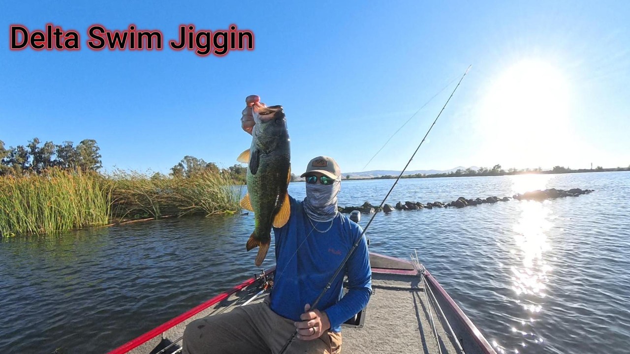 Bass Fishing The California Delta